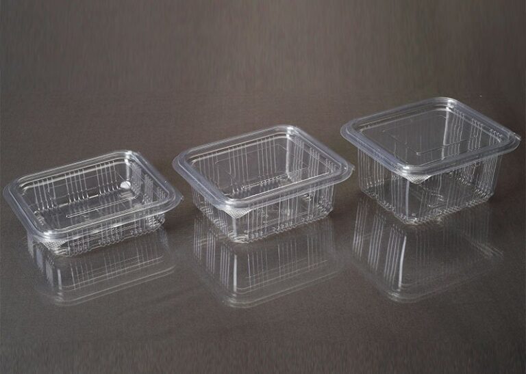 PET Hinged Containers
